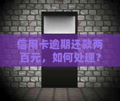 信用卡逾期还款两百元，如何处理？信用资讯攻略全解析！