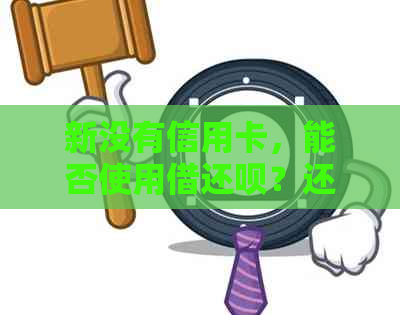新没有信用卡，能否使用借还款？还款方式有哪些？