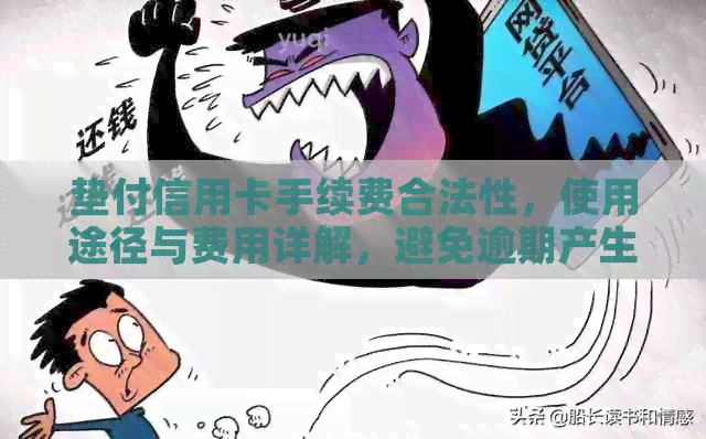 垫付信用卡手续费合法性，使用途径与费用详解，避免逾期产生的不良影响