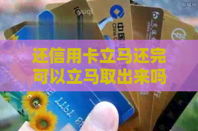 还信用卡立马还完可以立马取出来吗：安全、影响及操作指南