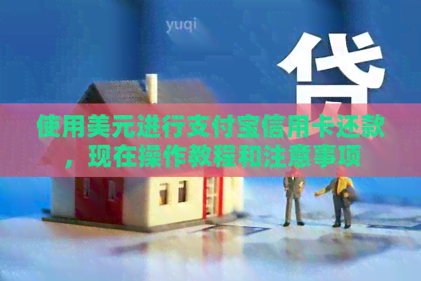 使用美元进行支付宝信用卡还款，现在操作教程和注意事项