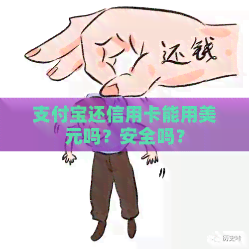 支付宝还信用卡能用美元吗?安全吗? 支付宝还信用卡能用美元吗?安全吗?