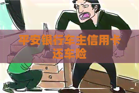 平安银行车主信用卡还车险