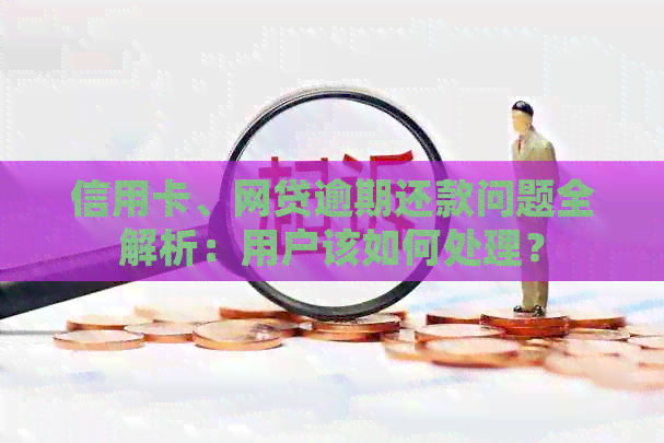 信用卡、网贷逾期还款问题全解析：用户该如何处理？