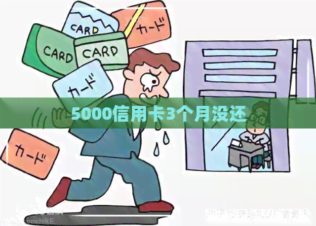 5000信用卡3个月没还