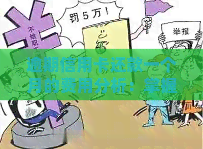 逾期信用卡还款一个月的费用分析：掌握实用知识减少手续费