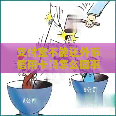 支付宝不能还外币信用卡吗怎么回事：支付宝是否支持外币信用卡还款？