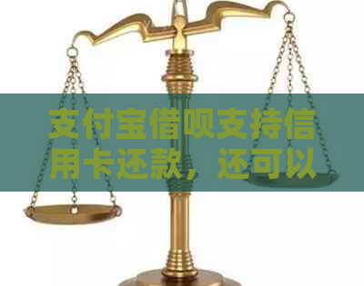 支付宝网贷支持信用卡还款，还可以通过其他方式进行还款吗？