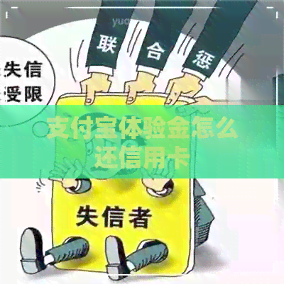 支付宝体验金怎么还信用卡