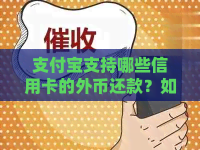 支付宝支持哪些信用卡的外币还款？如何进行外币还款操作？