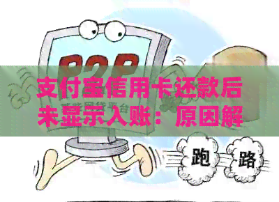 支付宝信用卡还款后未显示入账：原因解析与解决办法