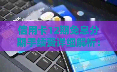 信用卡12期免息分期手续费详细解析：如何避免高额费用及注意事项
