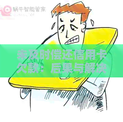 未及时偿还信用卡欠款：后果与解决策略