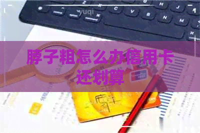 脖子粗怎么办信用卡还划算