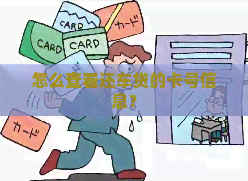 怎么查看还车贷的卡号信息？