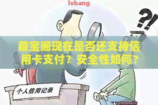 藏宝阁现在是否还支持信用卡支付？安全性如何？