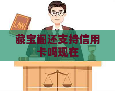 藏宝阁还支持信用卡吗现在