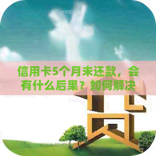 信用卡5个月未还款，会有什么后果？如何解决逾期问题并避免立案？