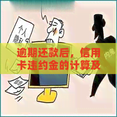 逾期还款后，信用卡违约金的计算及可能退回的费用
