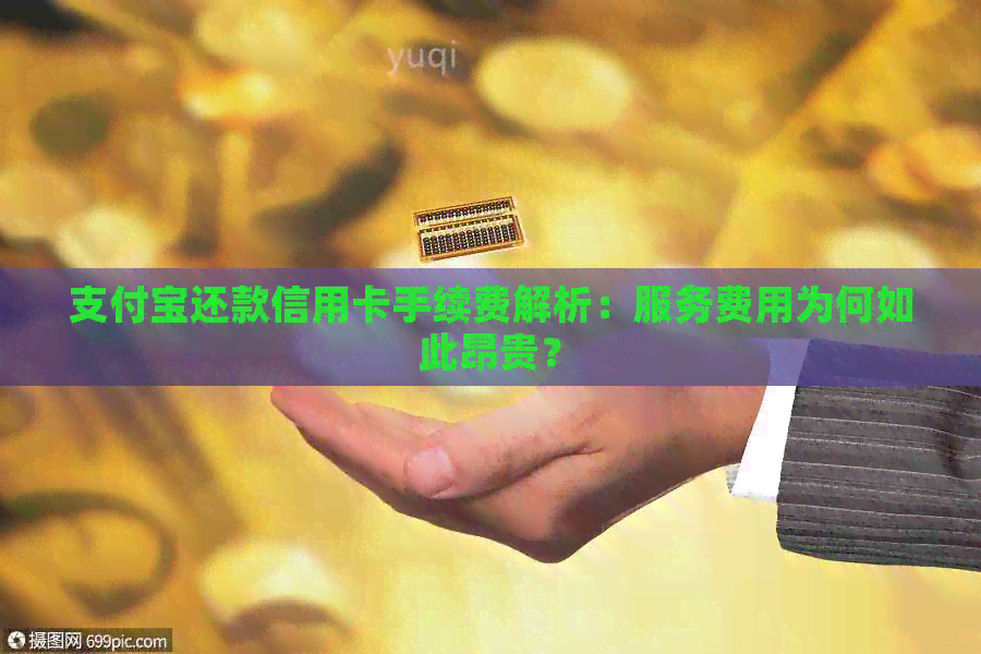 支付宝还款信用卡手续费解析：服务费用为何如此昂贵？
