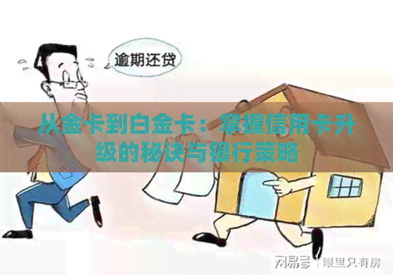 从金卡到白金卡：掌握信用卡升级的秘诀与银行策略