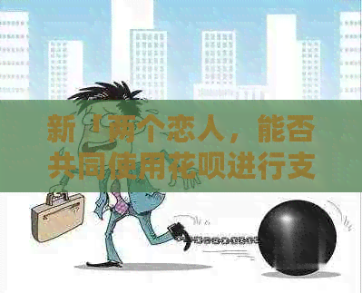 新「两个恋人，能否共同使用信用卡进行支付与还款？」