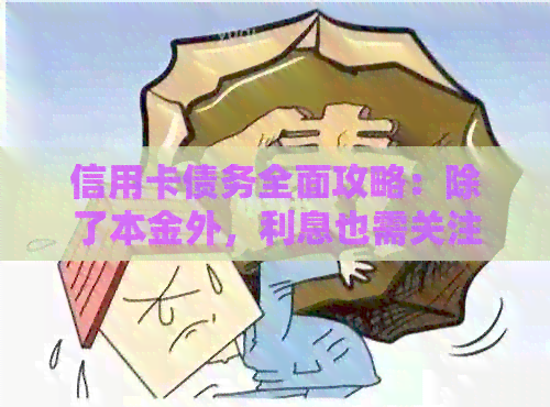 信用卡债务全面攻略：除了本金外，利息也需关注和处理