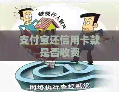 支付宝还信用卡款是否收费