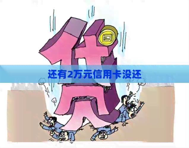 还有2万元信用卡没还