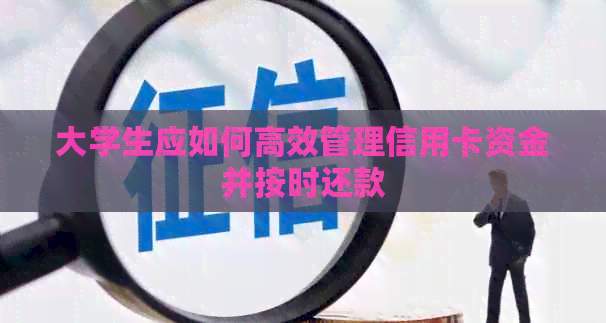 大学生应如何高效管理信用卡资金并按时还款