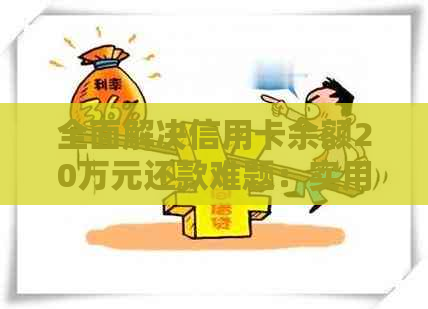 全面解决信用卡余额20万元还款难题：实用方法与建议