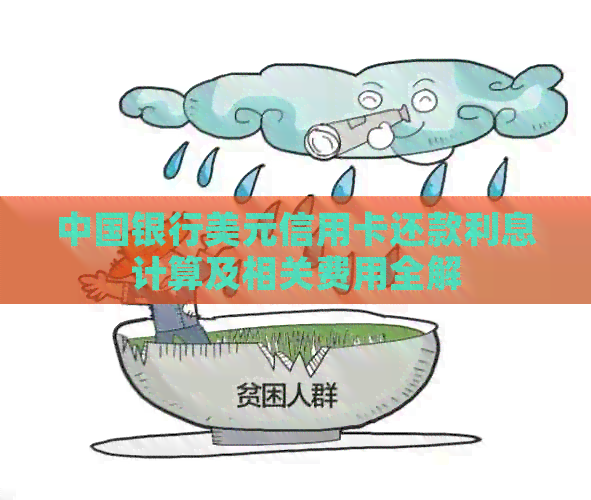 中国银行美元信用卡还款利息计算及相关费用全解