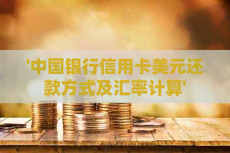 '中国银行信用卡美元还款方式及汇率计算'