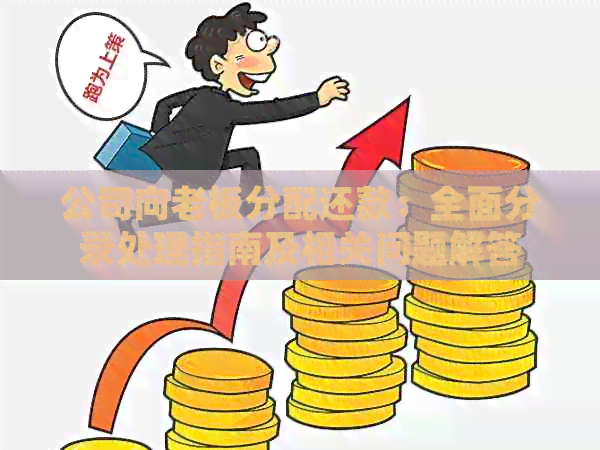 公司向老板分配还款：全面分录处理指南及相关问题解答