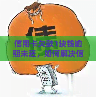 信用卡欠款1块钱逾期未还，如何解决信用危机？