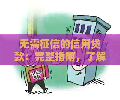 无需的信用贷款：完整指南，了解申请过程、条件和优缺点