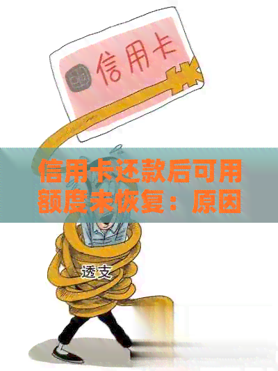 信用卡还款后可用额度未恢复：原因解析及解决办法全面探讨
