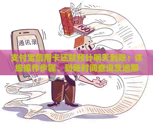 支付宝信用卡还款预计明天到账：详细操作步骤、到账时间查询及逾期后果解读