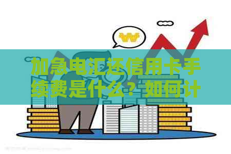 加急电汇还信用卡手续费是什么？如何计算？普通和加急的区别有哪些？