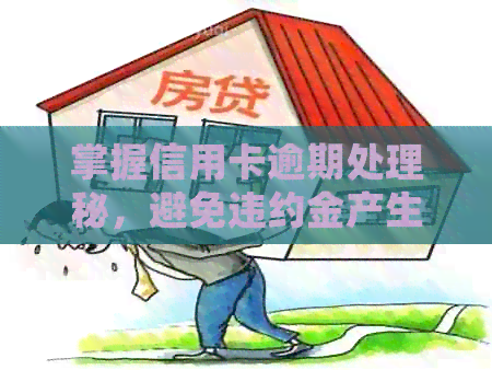 掌握信用卡逾期处理秘，避免违约金产生的办法