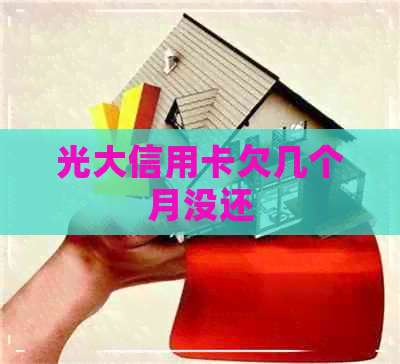光大信用卡欠几个月没还 光大信用卡欠几个月没还