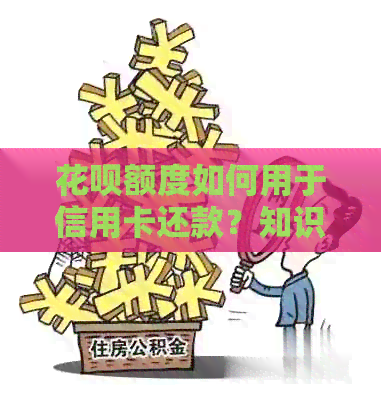 信用卡额度如何用于信用卡还款？知识问答