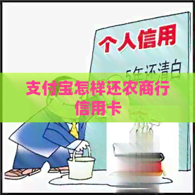 支付宝怎样还农商行信用卡