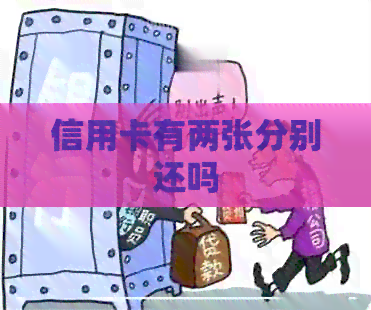 信用卡有两张分别还吗