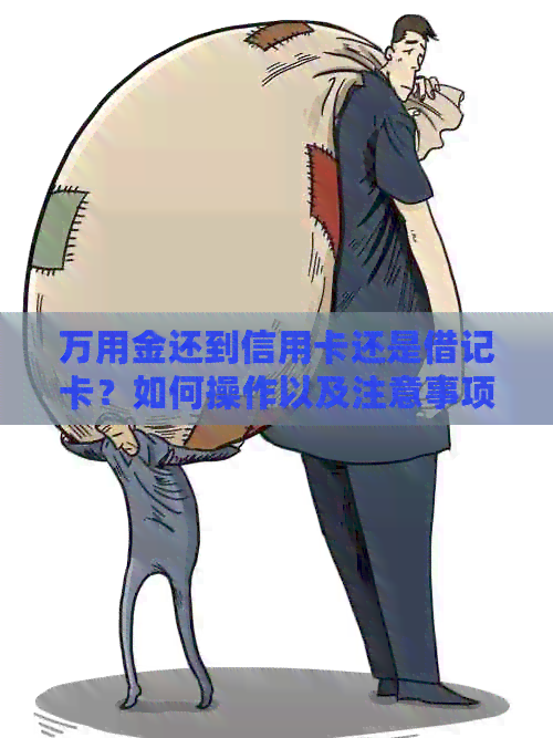 万用金还到信用卡还是借记卡？如何操作以及注意事项