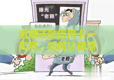 逾期还款信用卡一天后，如何计算滞纳金和利息？
