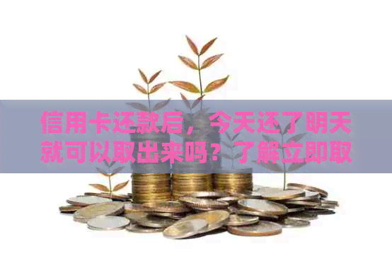 信用卡还款后，今天还了明天就可以取出来吗？了解立即取现的详细流程