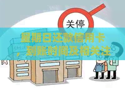 星期日还款信用卡，到账时间及相关注意事项