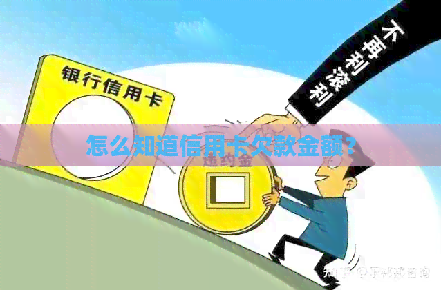 怎么知道信用卡欠款金额？