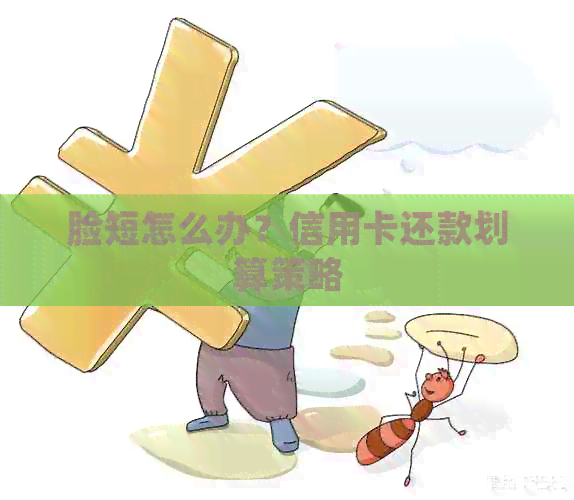 脸短怎么办？信用卡还款划算策略